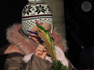 Read more about the article Niedziela Palmowa 2013